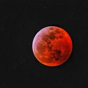 Meet your Posher, Sel